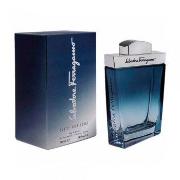 Salvatore Ferragamo Subtil pour homme