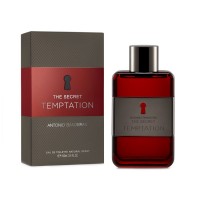 The Secret Temptation Antonio Banderas
