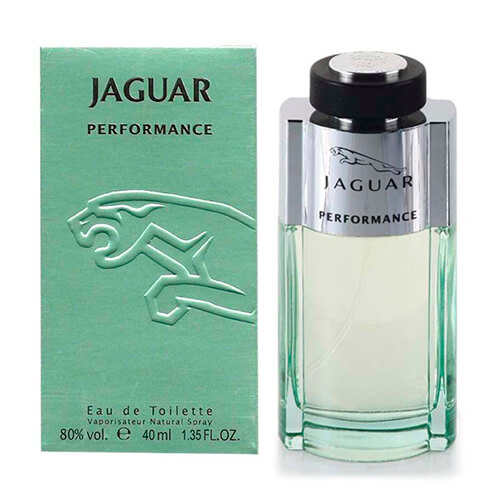 Jaguar Performance – цена, описание.